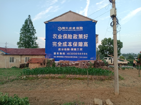 龙胜墙体广告为何受追捧？