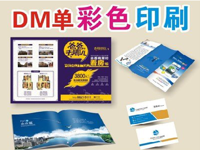 龙胜单页印刷，色彩搭配简单。